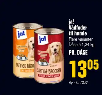 Poetzsch Padborg ja! Vådfoder til hunde tilbud