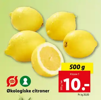 Lidl Økologiske citroner tilbud