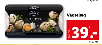 Vagtelæg
