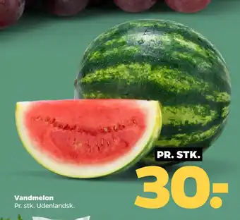 Netto Vandmelon tilbud