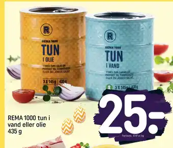 Rema 1000 REMA 1000 tun i vand eller olie 435 g tilbud