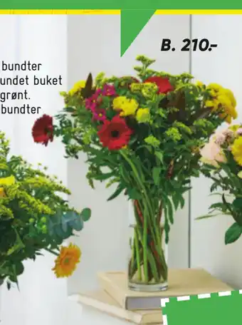 Bilka Buketbinderi tilbud