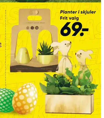 Bilka Planter i skjuler tilbud