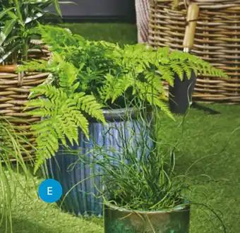 Bilka Asti keramikkrukke tilbud