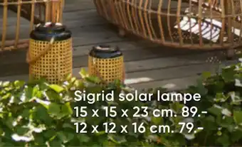 Bilka Sigrid solar lampe tilbud