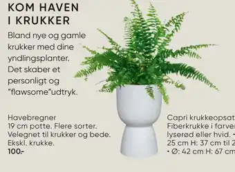 Bilka Havebregner 19 cm potte tilbud