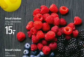 Føtex Dricoll’s hindbær tilbud