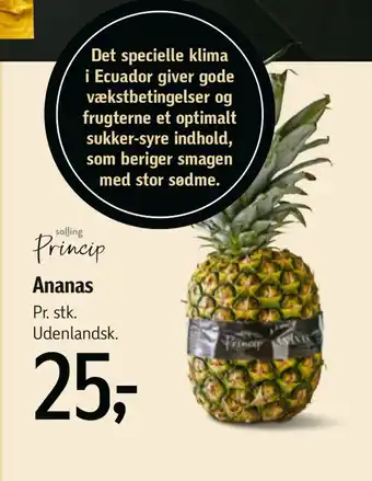 Føtex Ananas tilbud