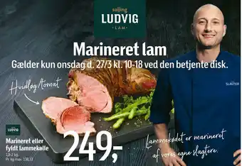 Føtex Marineret eller fyldt lammekølle tilbud