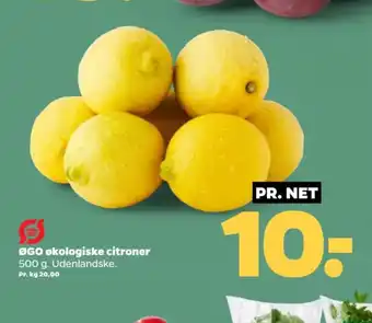 Netto ØGO økologiske citroner tilbud