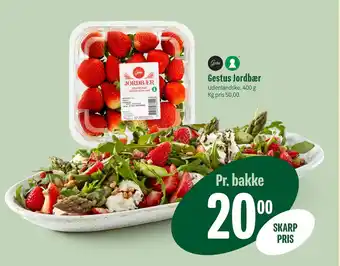Min Købmand Gestus Jordbær tilbud