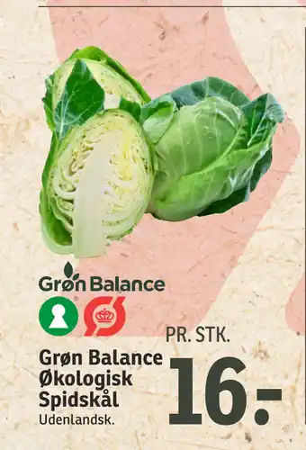 SPAR Grøn Balance Økologisk Spidskål tilbud