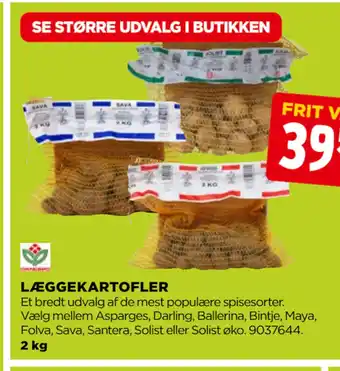 LÆGGEKARTOFLER