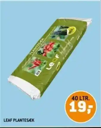 XL-BYG LEAF PLANTESÆK tilbud