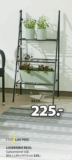 JYSK LUSERNBIE REOL tilbud