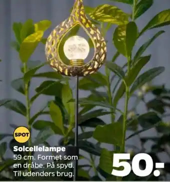 Netto Solcellelampe tilbud