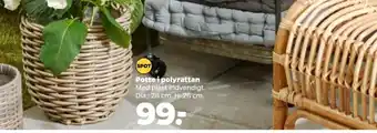 Netto Potte i polyrattan tilbud