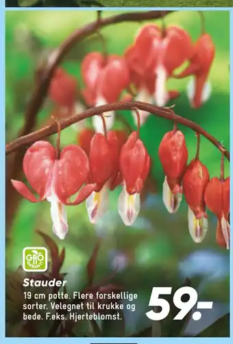 Bilka Stauder tilbud