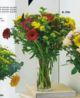 Bilka Buketbinderi tilbud