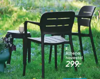 Athena havestol