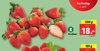 Lidl Jordbær tilbud