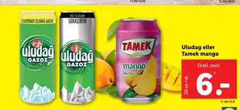 Lidl Uludag eller Tamek mango tilbud