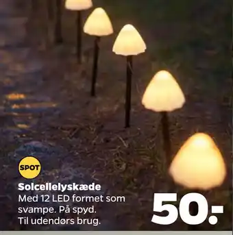 Netto Solcellelyskæde tilbud