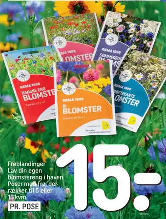 REMA 1000 Frøblandinger Lav din egen blomstereng i haven Poser med frø, der rækker til 5 eller 10 kvm tilbud