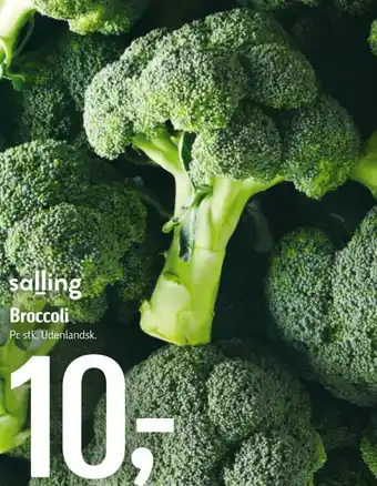 Broccoli