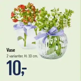 Føtex Vase tilbud