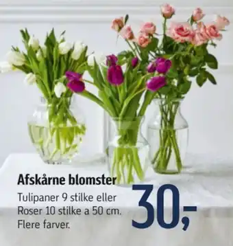 Føtex Afskårne blomster tilbud