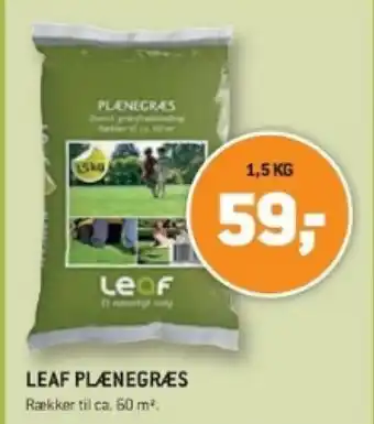 XL-BYG LEAF PLÆNEGRÆS tilbud