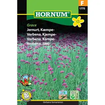 Bauhaus Hornum blomsterfrø Jernurt, Kæmpe tilbud