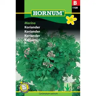 Bauhaus Hornum krydderurtefrø Koriander tilbud