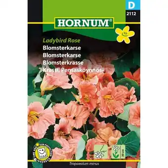 Bauhaus Hornum blomsterfrø blomsterkarse Ladybird Rose tilbud
