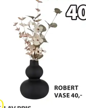 ROBERT VASE