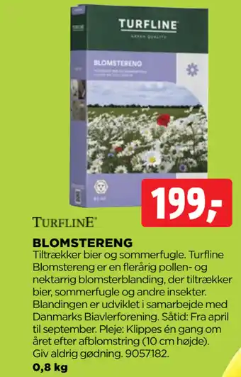 BLOMSTERENG