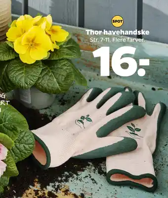 Netto Thor havehandske tilbud