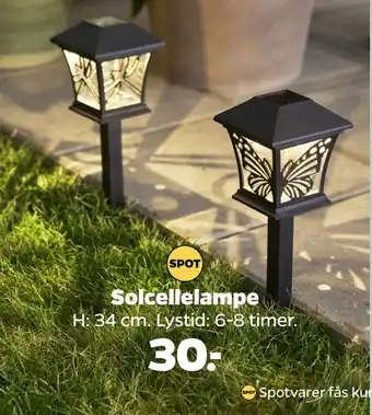 Netto Solcellelampe tilbud
