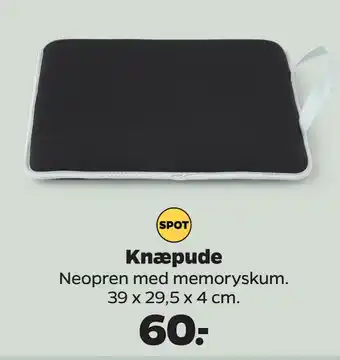 Knæpude