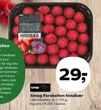 Kvickly Smag Forskellen hindbær tilbud