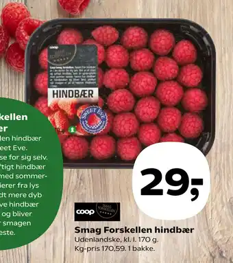 Kvickly Smag Forskellen hindbær tilbud