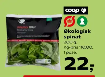 SuperBrugsen Økologisk spinat tilbud