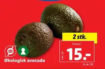 Lidl Økologisk avocado tilbud