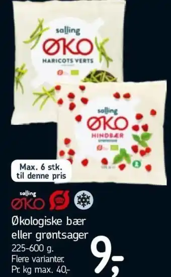 Føtex Økologiske Bær Eller Grøntsager 225-600 g tilbud