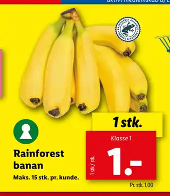 Lidl Rainforest banan tilbud