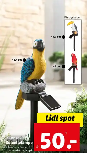Lidl Solcellelampe tilbud