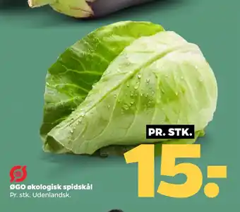 Netto ØGO økologisk spidskål tilbud