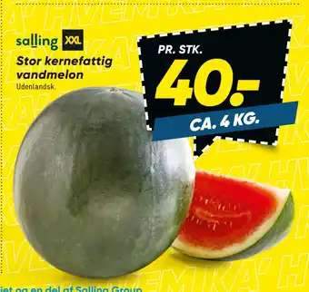 Bilka Stor kernefattig vandmelon tilbud