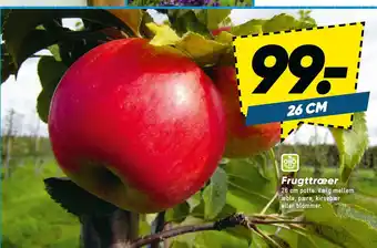 Bilka Frugttræer tilbud